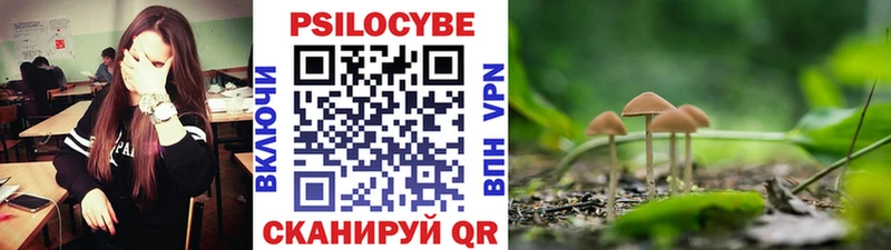 Псилоцибиновые грибы MAGIC MUSHROOMS Фурманов