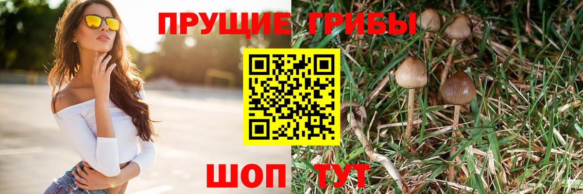 Галлюциногенные грибы GOLDEN TEACHER Фурманов