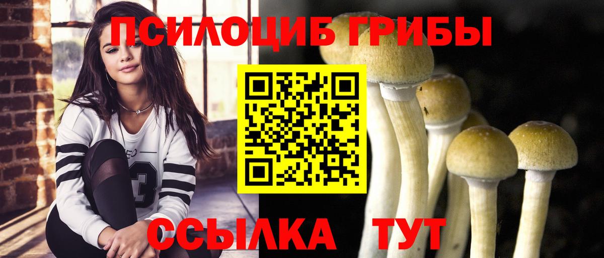 Псилоцибиновые грибы ЛСД  Псилоцибиновые грибы Psilocybe  Вход с VPN  Фурманов 