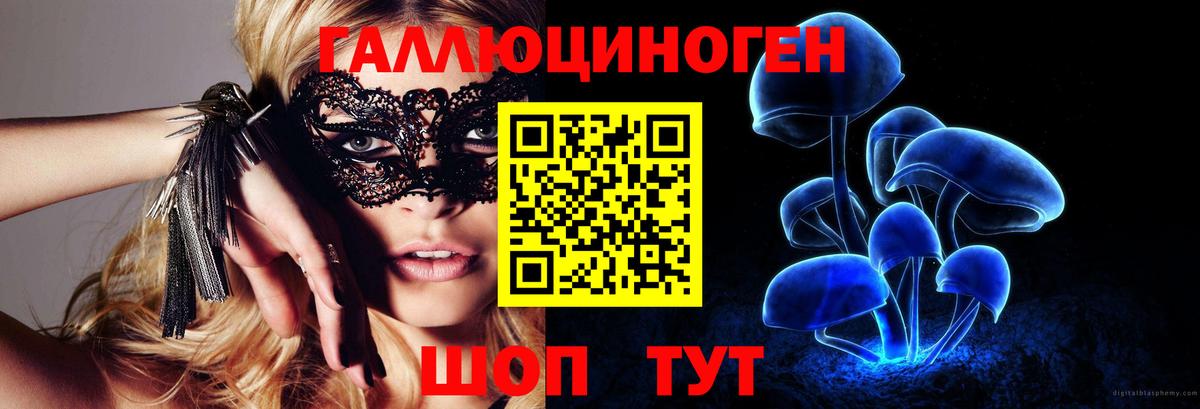 Галлюциногенные грибы Psilocybe  Псилоцибиновые грибы Psilocybe  Фурманов 